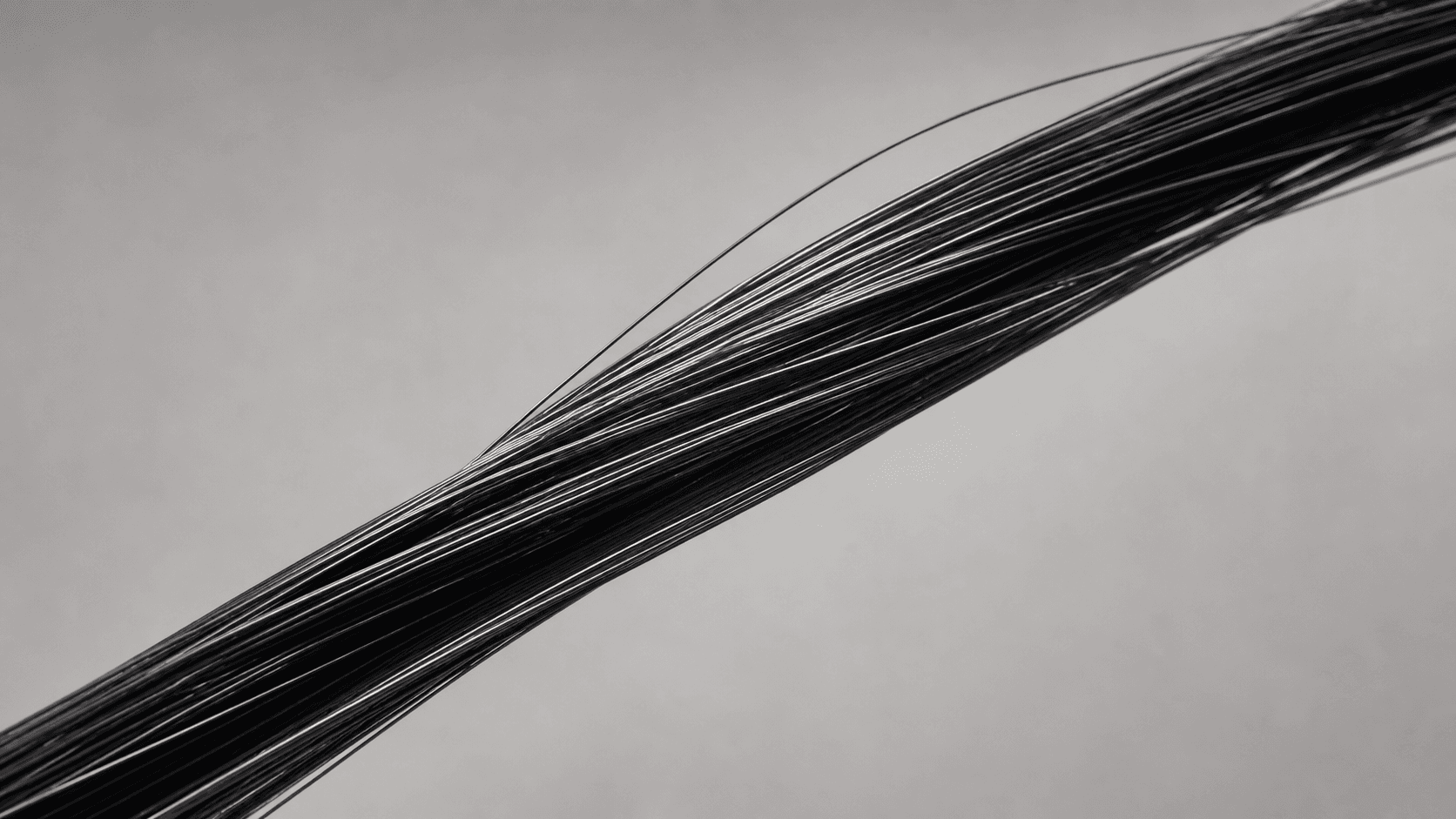 Fine black protective fibers sweeping across a pale field